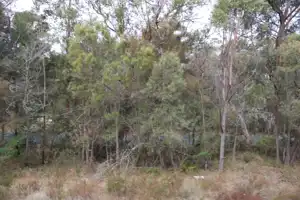 2025-08-09 NSW Rail Museum - IMG_4111_compressed_q80.webp